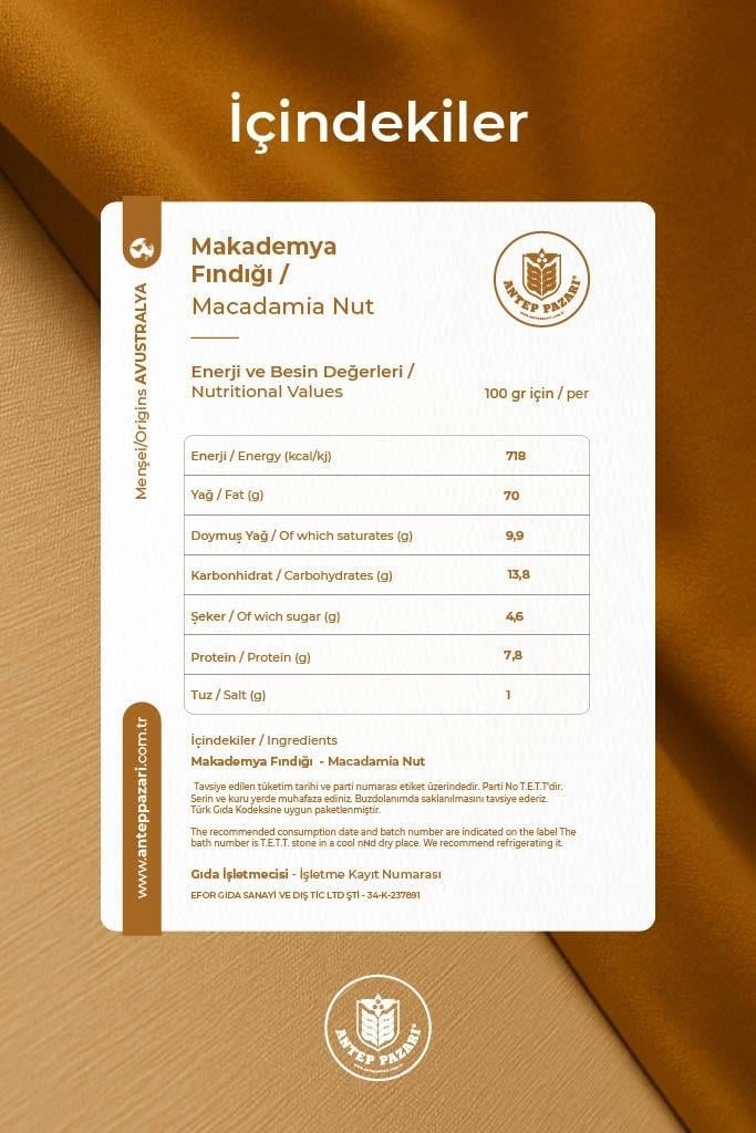 Makademya Fındığı