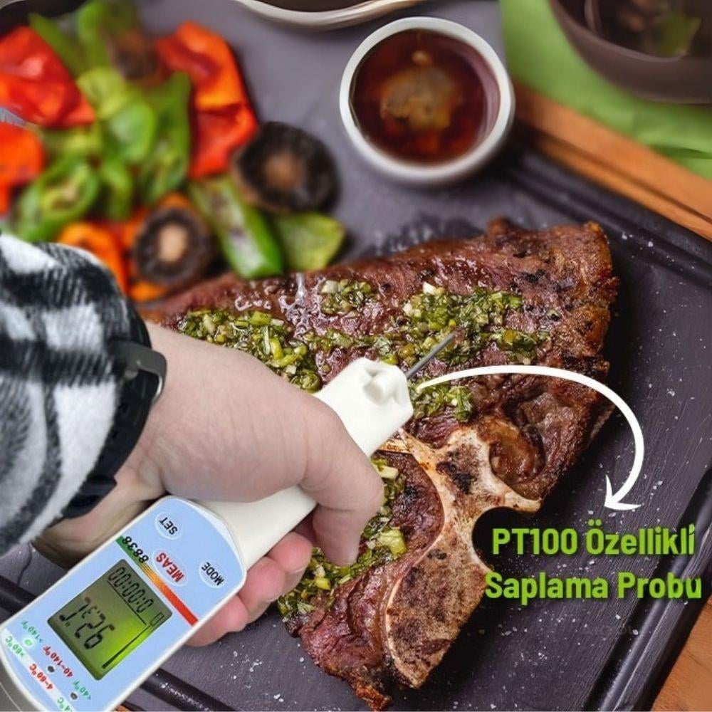 .AZ 8838 Lazerli ve Problu HACCP Termometresi ENJEKTÖRbrand> zoofarm