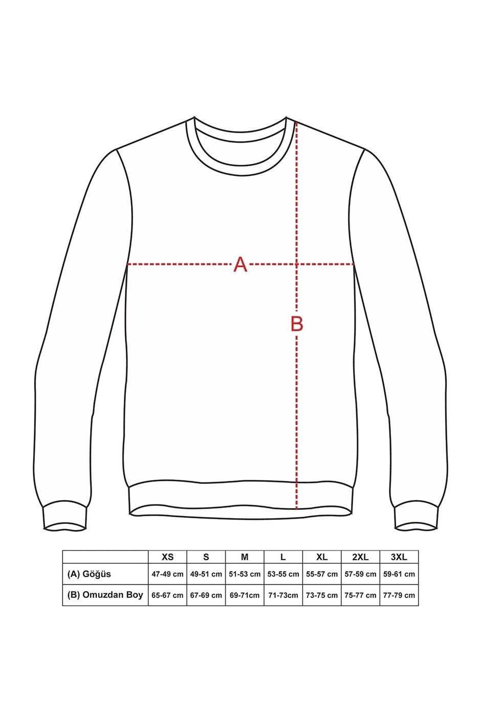 Erkek Bordo Renk Bisiklet Yaka Nakış Detaylı Ince Sweatshirt