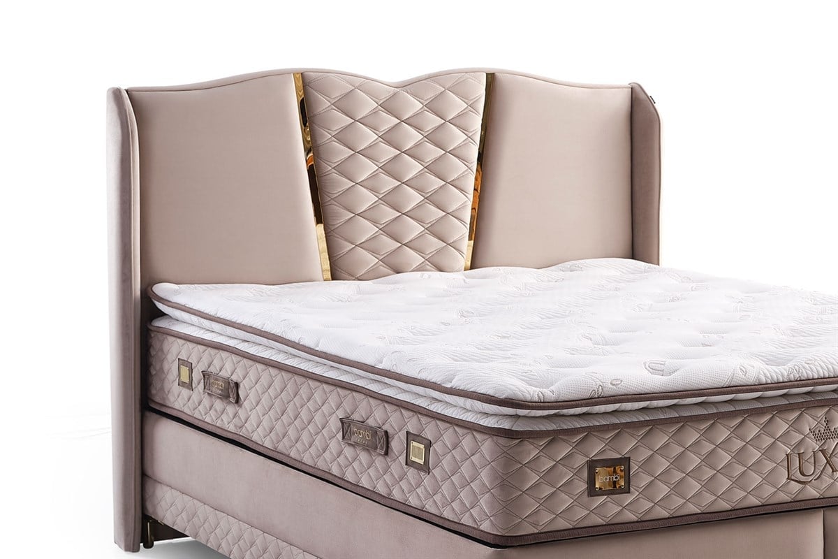 Luxia BaşlıkBambi BaşlıkLuxia Başlık