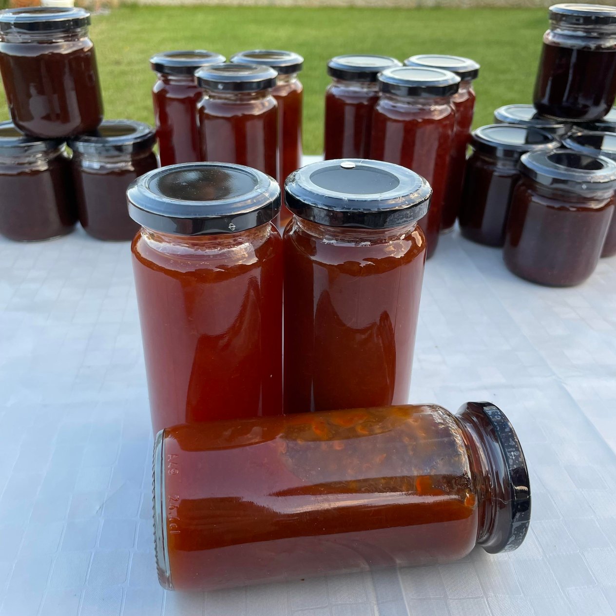 Kayısı Marmelatı (250 GR)