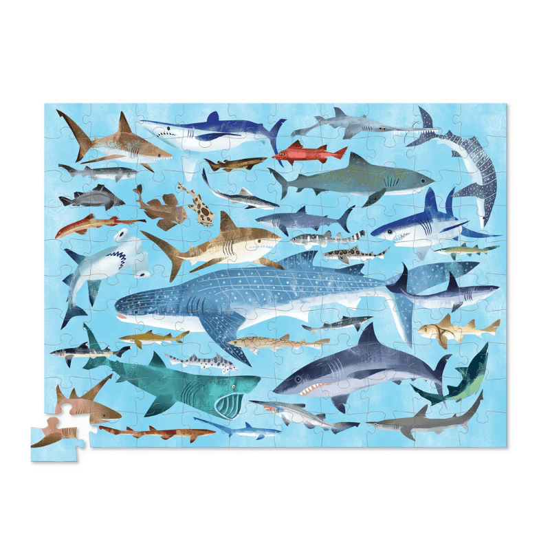 Crocodile Creek Puzzle - 100 Parça - Köpek Balıkları