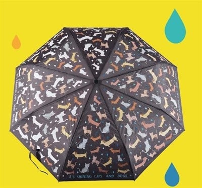 Floss & Rock Renk Değiştiren Şemsiye - Raining Cats & Dogs