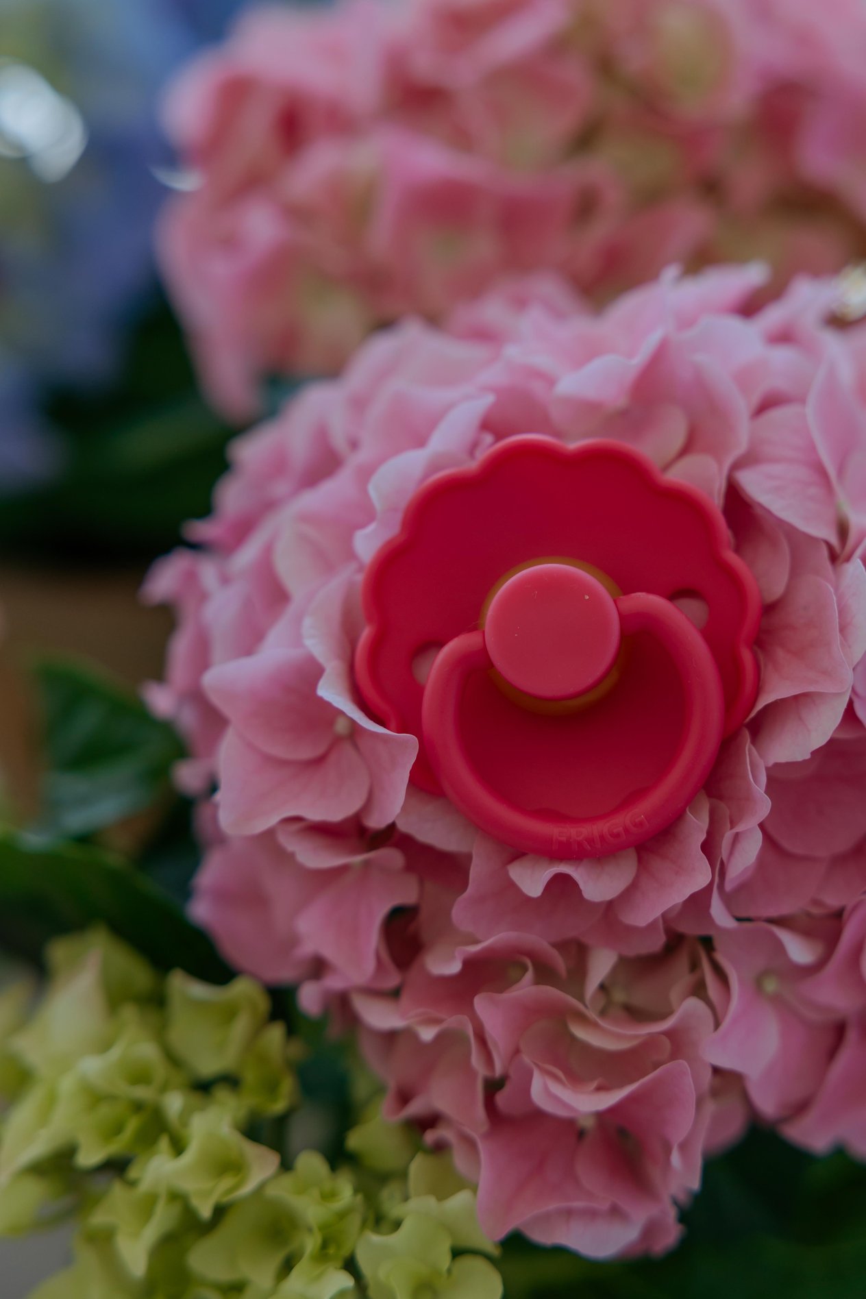 FRIGG Daisy Kauçuk Emzik - Fuchsia