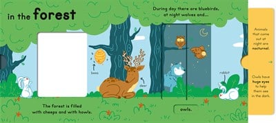 Little Tiger Day and Night