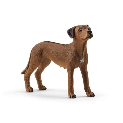 Schleich - Rodezya Rıdgeback Köpek