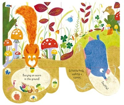 Usborne Little Lift and Look Woods