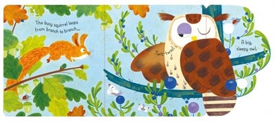 Usborne Little Lift and Look Woods