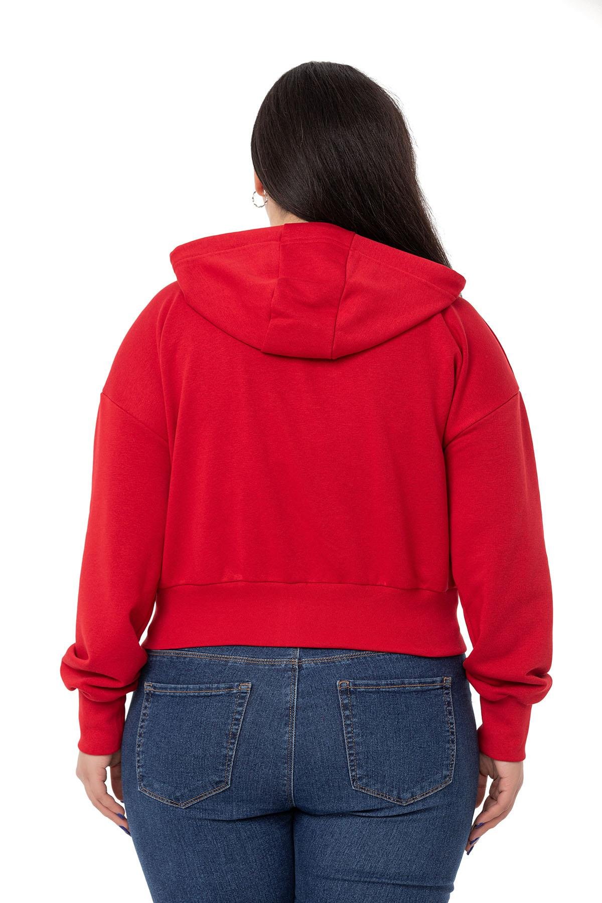 DISENTIS MODEST UC IPLIK KAPUSONLU SWEATSHIRT GENC BUYUK BEDENDISENTIS MODESTBüyük Beden Kanguru Cepli Kapüşonlu Üç İplik Kırmızı Sweatshirt