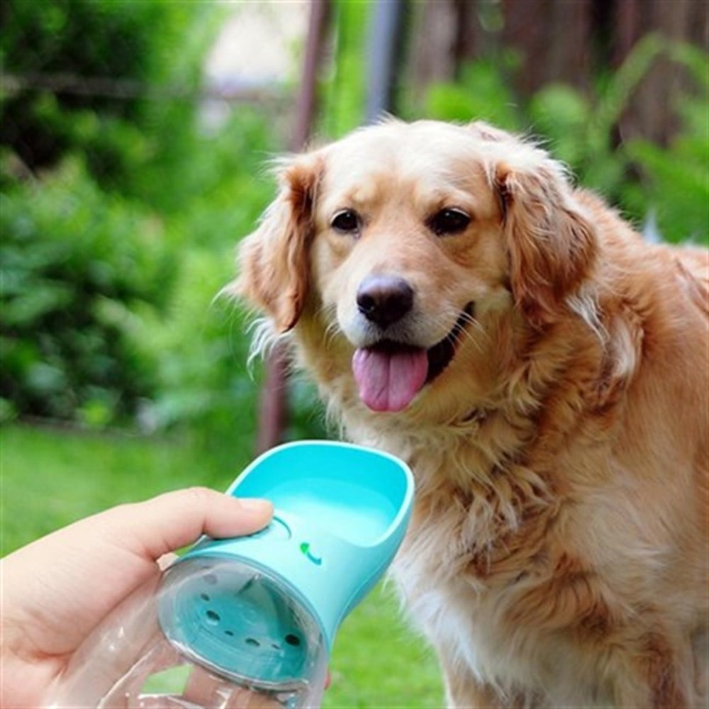 Antibakteriyel 350 ML Taşınabilir Evcil Hayvan Kedi Köpek Su İçme Şişesi