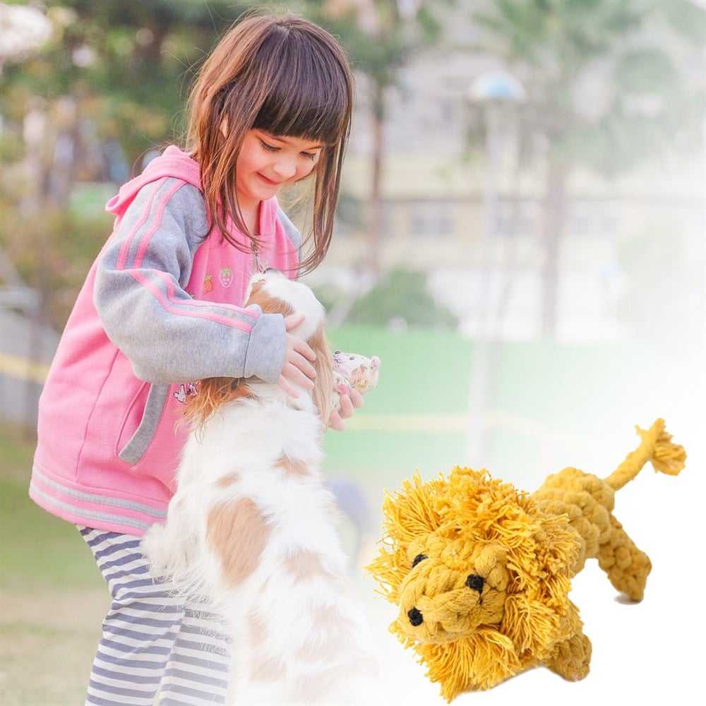 Köpekler İçin Peluş Aslan Çiğneme Oyuncağı