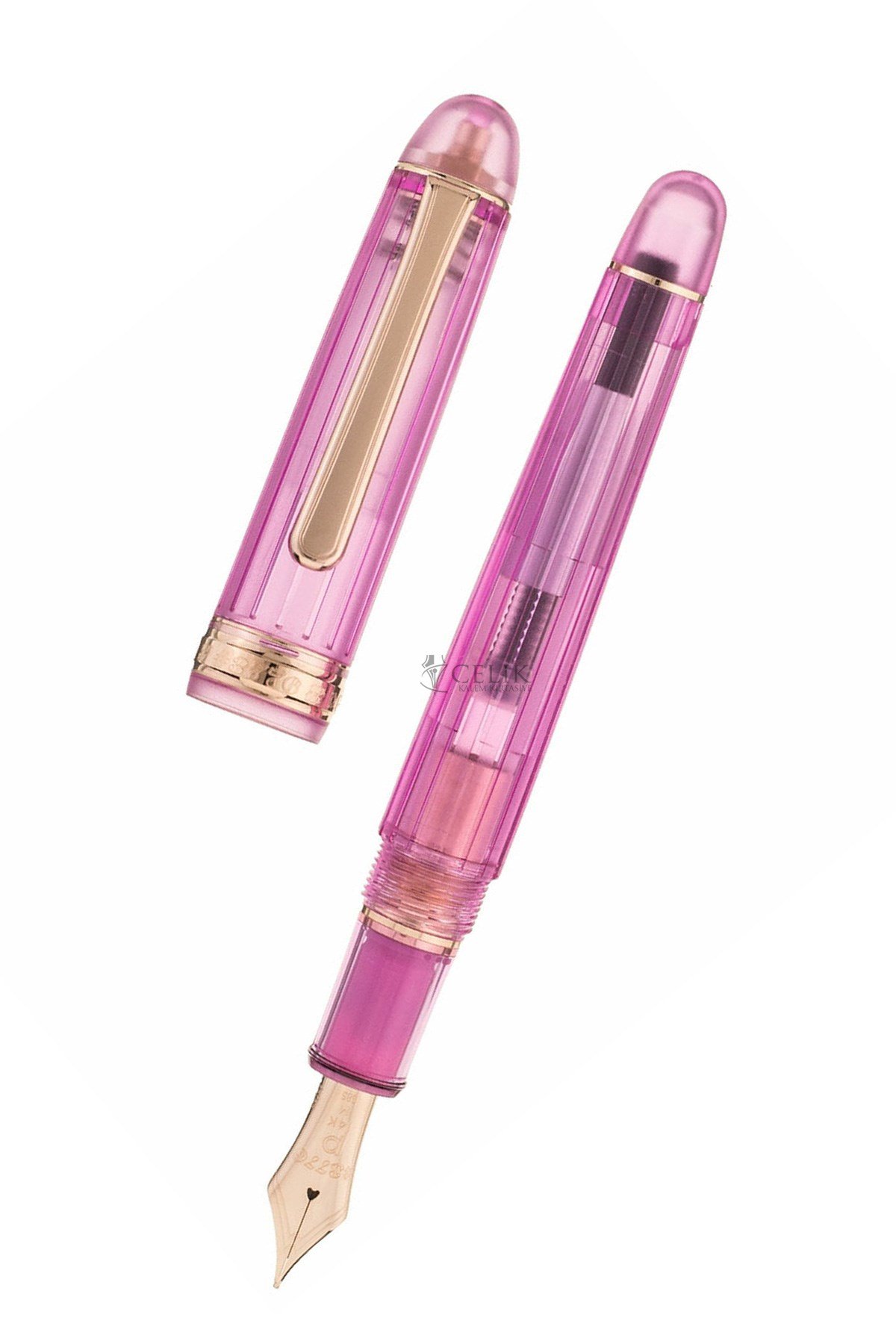 Platinum PNB 20000R#3776 Century Nice Lilas Gold Dolma Kalem  B Uç