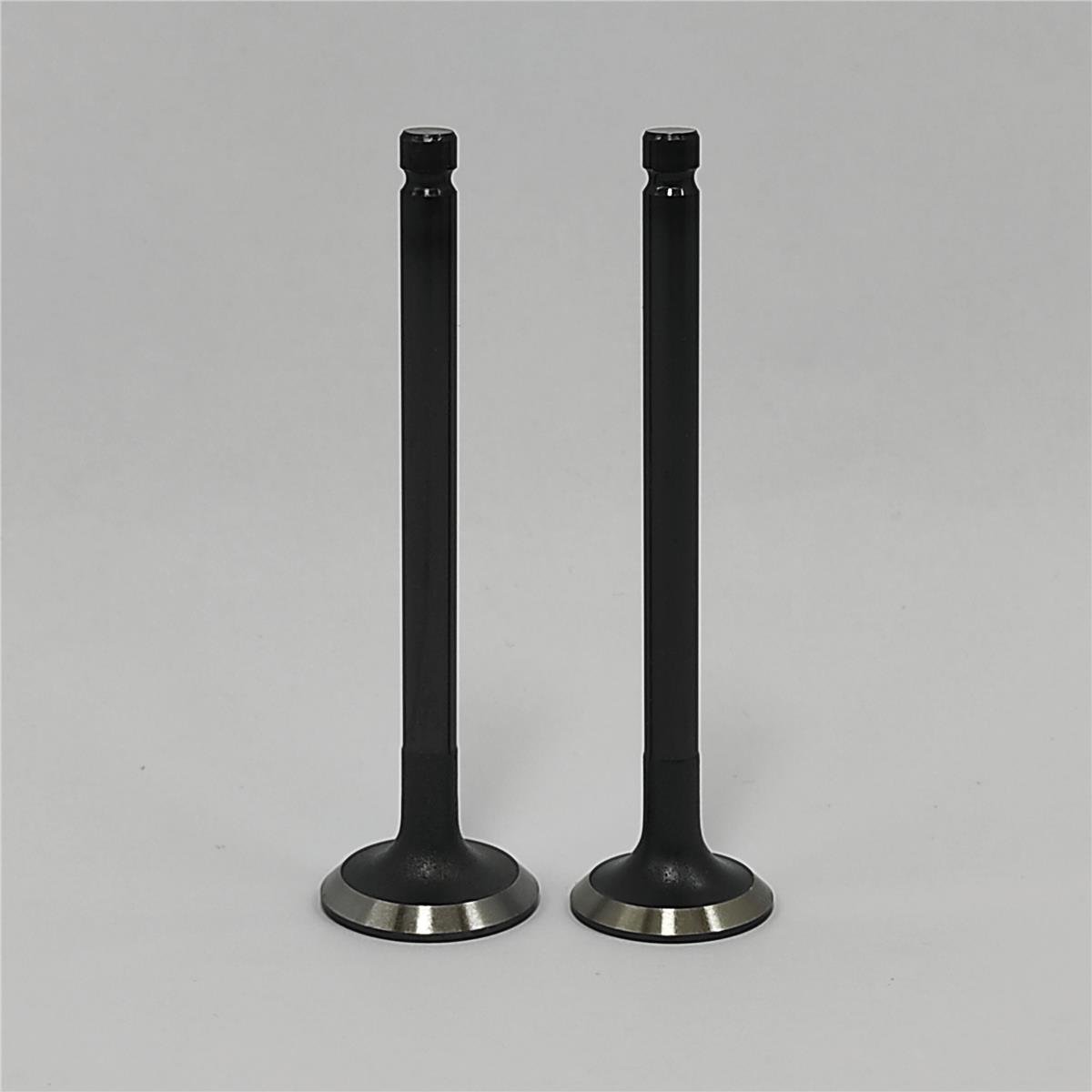ENGINE VALVE SET (IN+EX): MITSUBISHI / L2C / L3C / L2E / L3E / REFERENCE NUMBER: 30L06-01100 + 30L06-01200