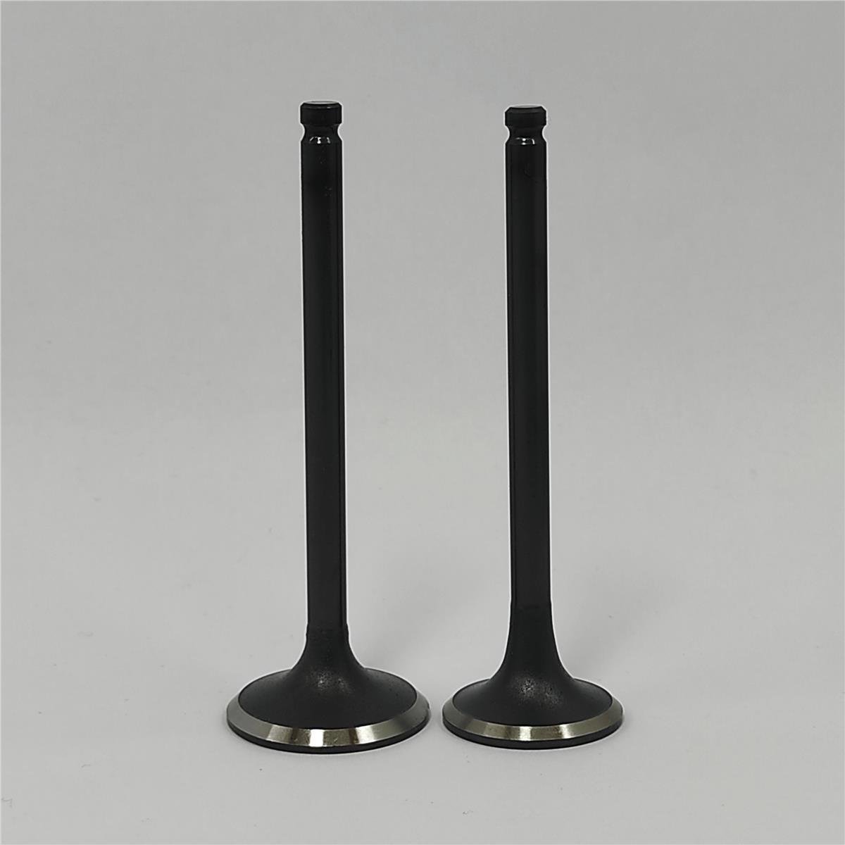 SUBAP SETİ (Em+Eg): MITSUBISHI / S3L / S4L