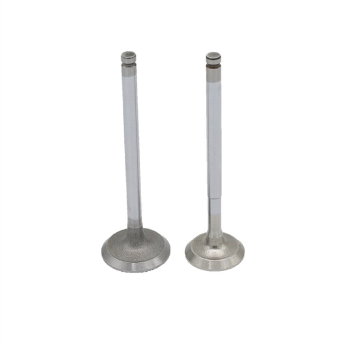 ENGINE VALVE SET (In+Ex) : RUGGERINI / RY 103 / RY 110