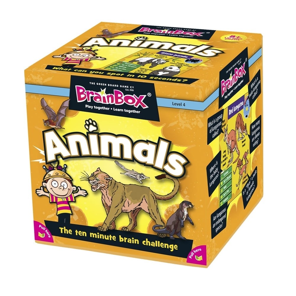 BRAINBOX HAYVANLAR