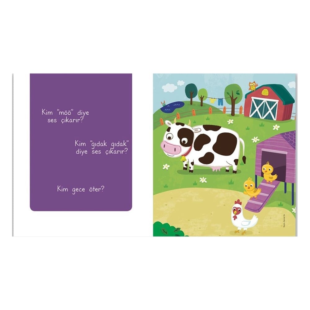 BU HAYVANLAR NEREDE YAŞAR? Çocuk Kitapları Uzmanı - Children's Books Expert
