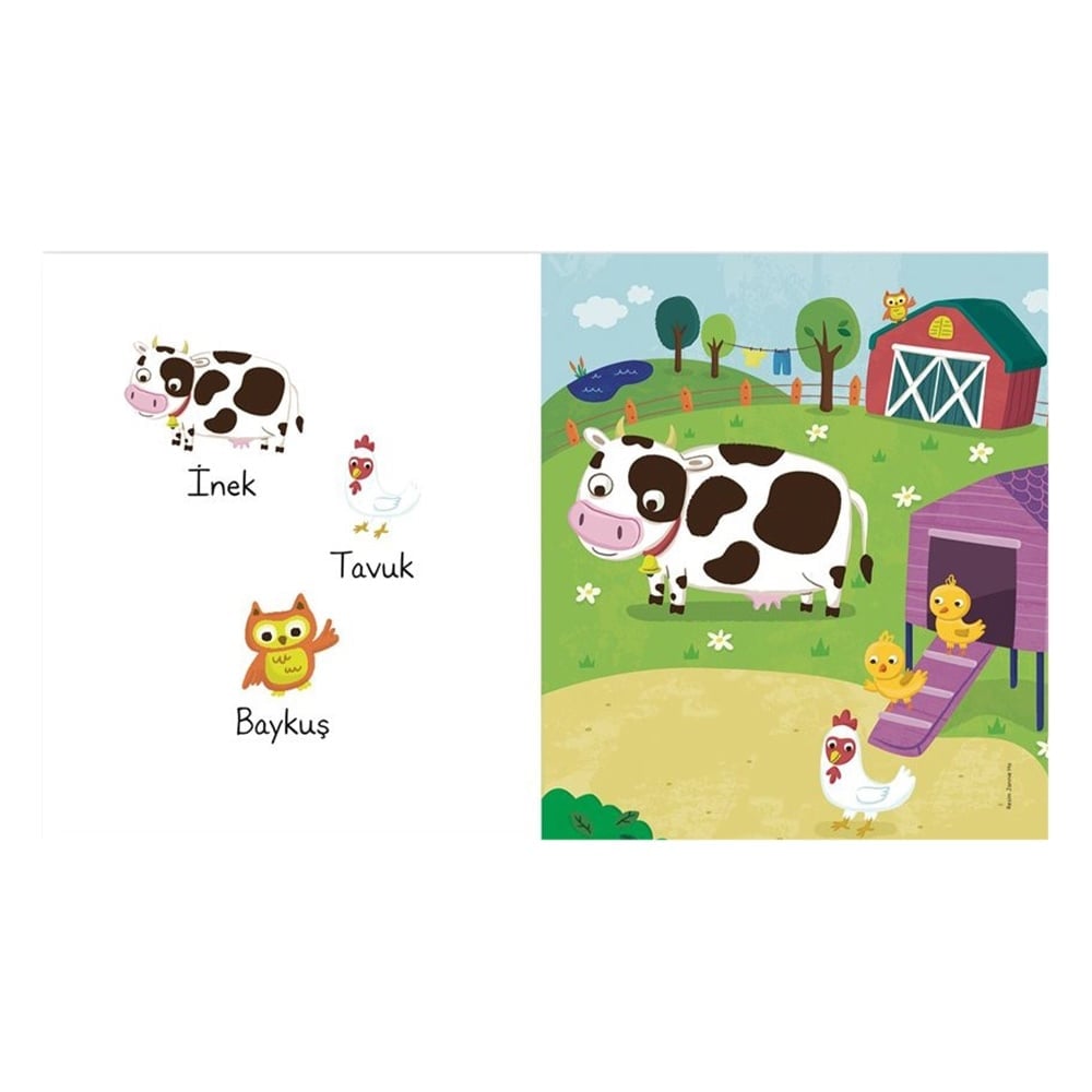 BU HAYVANLAR NEREDE YAŞAR? Çocuk Kitapları Uzmanı - Children's Books Expert