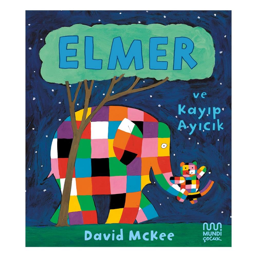 Elmer Ve Kayıp Ayıcık Çocuk Kitapları Uzmanı - Children's Books Expert