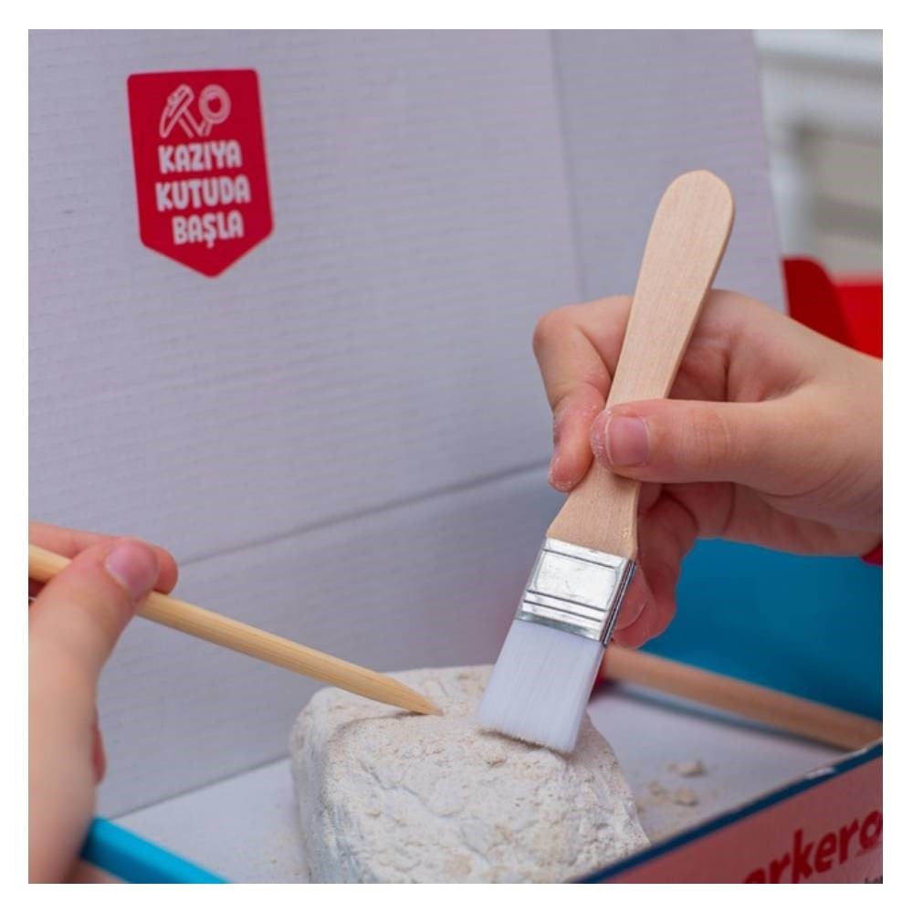HATAY EĞİTİCİ ARKEOLOJİK KAZI SETİ Çocuk Kitapları Uzmanı - Children's Books Expert