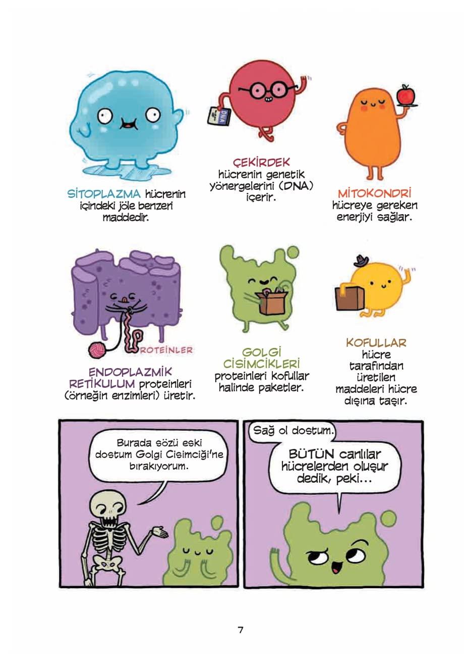 İNSAN VÜCUDU TİYATROSU Çocuk Kitapları Uzmanı - Children's Books Expert
