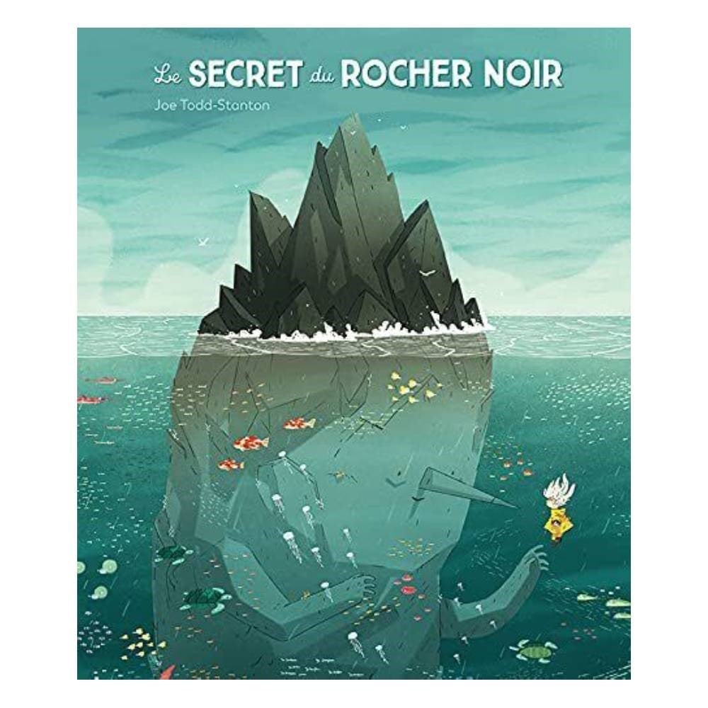 LE SECRET DU ROCHER NOIR Çocuk Kitapları Uzmanı - Children's Books Expert