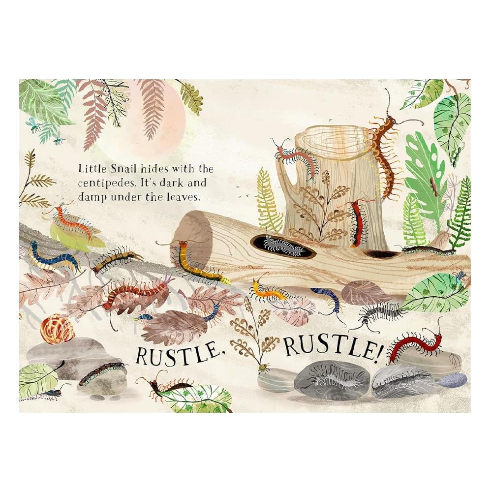 Little Snail s Book Of Bugs Çocuk Kitapları Uzmanı - Children's Books Expert