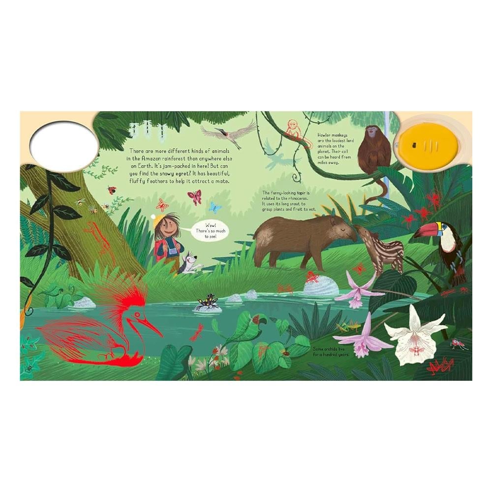 Magic Torch - Explore the Forest Çocuk Kitapları Uzmanı - Children's Books Expert