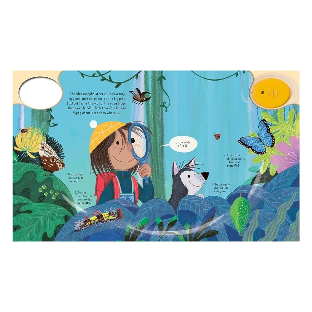 Magic Torch - Explore the Forest Çocuk Kitapları Uzmanı - Children's Books Expert