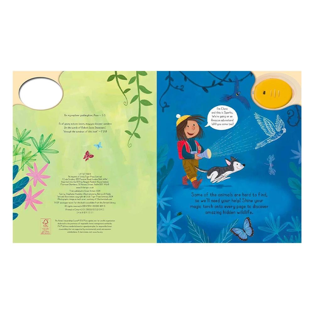Magic Torch - Explore the Forest Çocuk Kitapları Uzmanı - Children's Books Expert