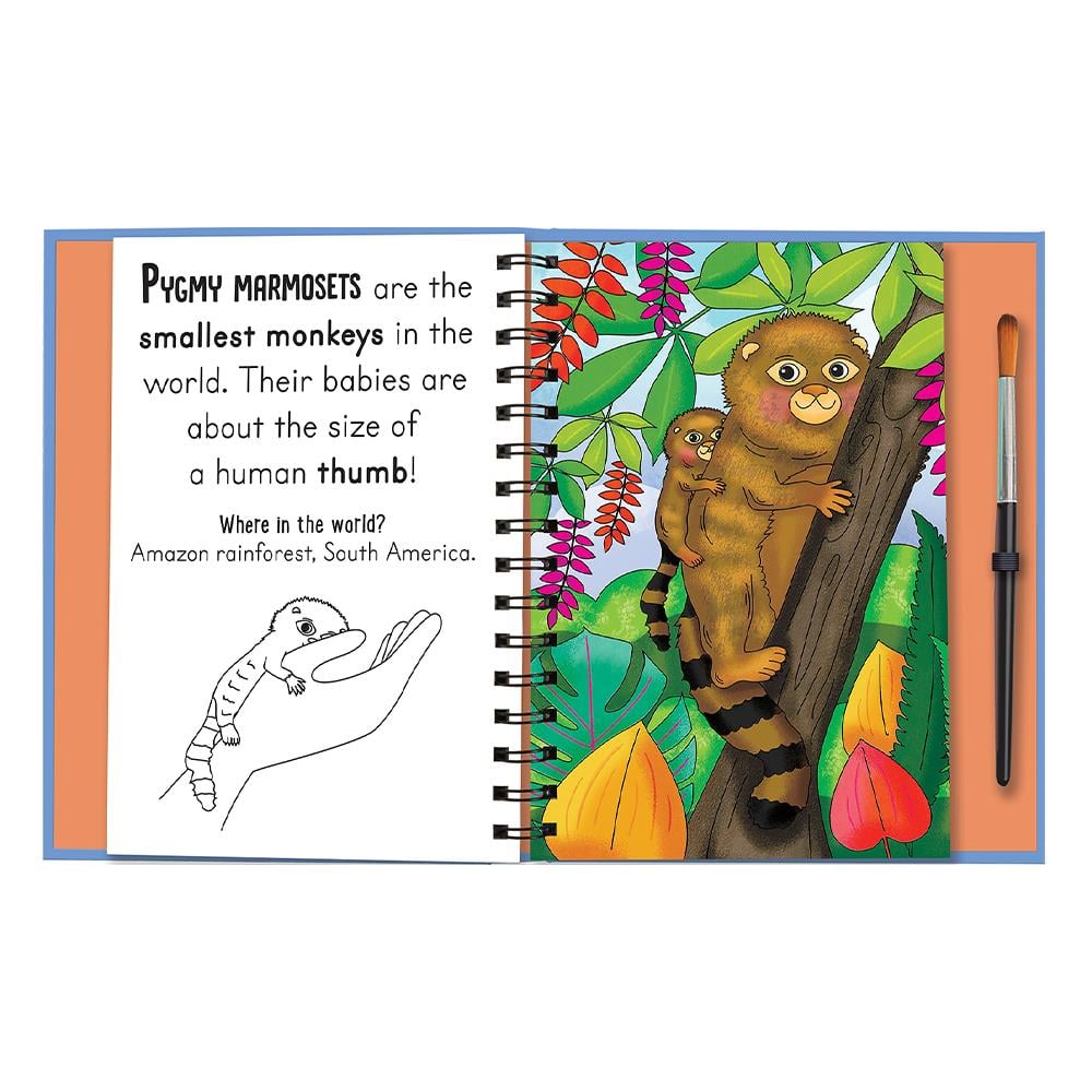 Magic Water Colouring - Baby Animals Çocuk Kitapları Uzmanı - Children's Books Expert