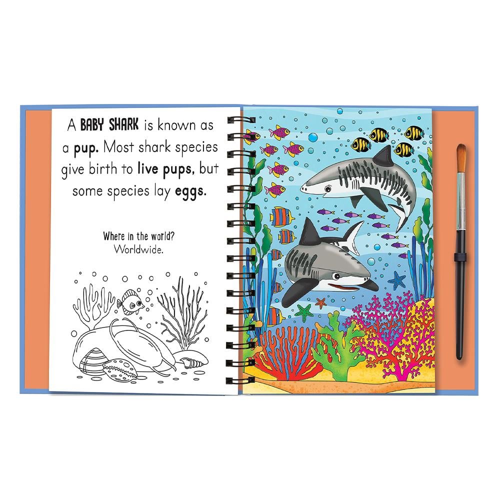 Magic Water Colouring - Baby Animals Çocuk Kitapları Uzmanı - Children's Books Expert