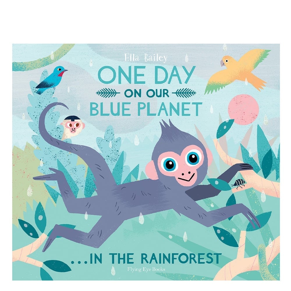ONE DAY ON OUR BLUE PLANET… IN THE RAINFOREST Çocuk Kitapları Uzmanı - Children's Books Expert