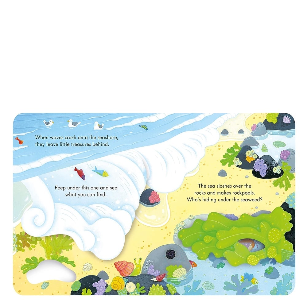 PEEP INSIDE THE SEASHORE Çocuk Kitapları Uzmanı - Children's Books Expert