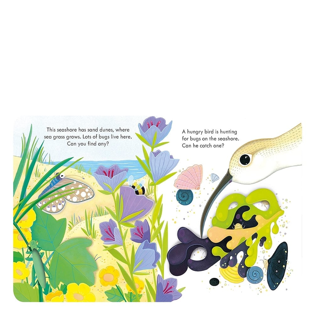 PEEP INSIDE THE SEASHORE Çocuk Kitapları Uzmanı - Children's Books Expert