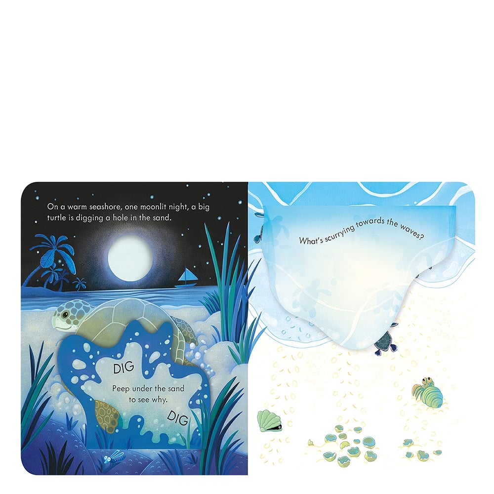PEEP INSIDE THE SEASHORE Çocuk Kitapları Uzmanı - Children's Books Expert
