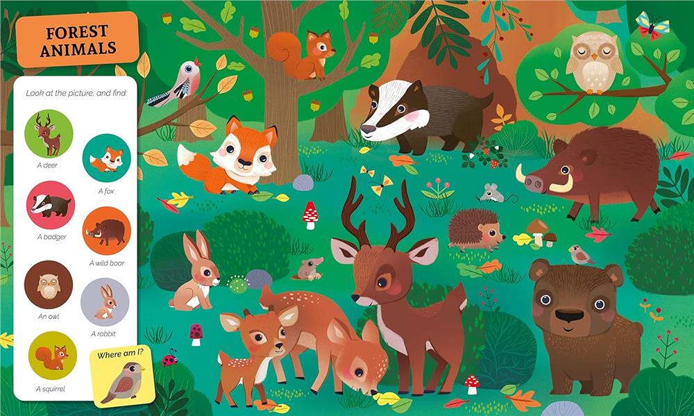 Search And Find Animals Çocuk Kitapları Uzmanı - Children's Books Expert