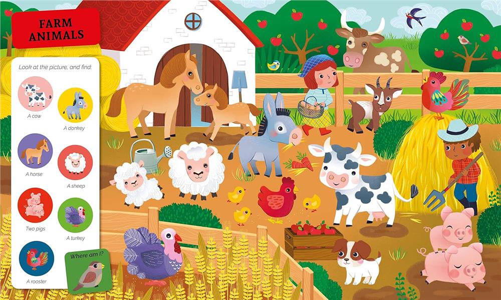 Search And Find Animals Çocuk Kitapları Uzmanı - Children's Books Expert
