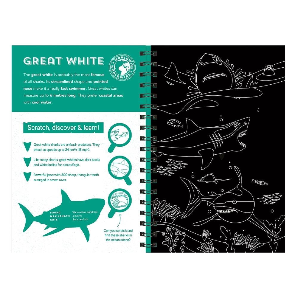 Sharks - Scratch Discover And Learn Çocuk Kitapları Uzmanı - Children's Books Expert