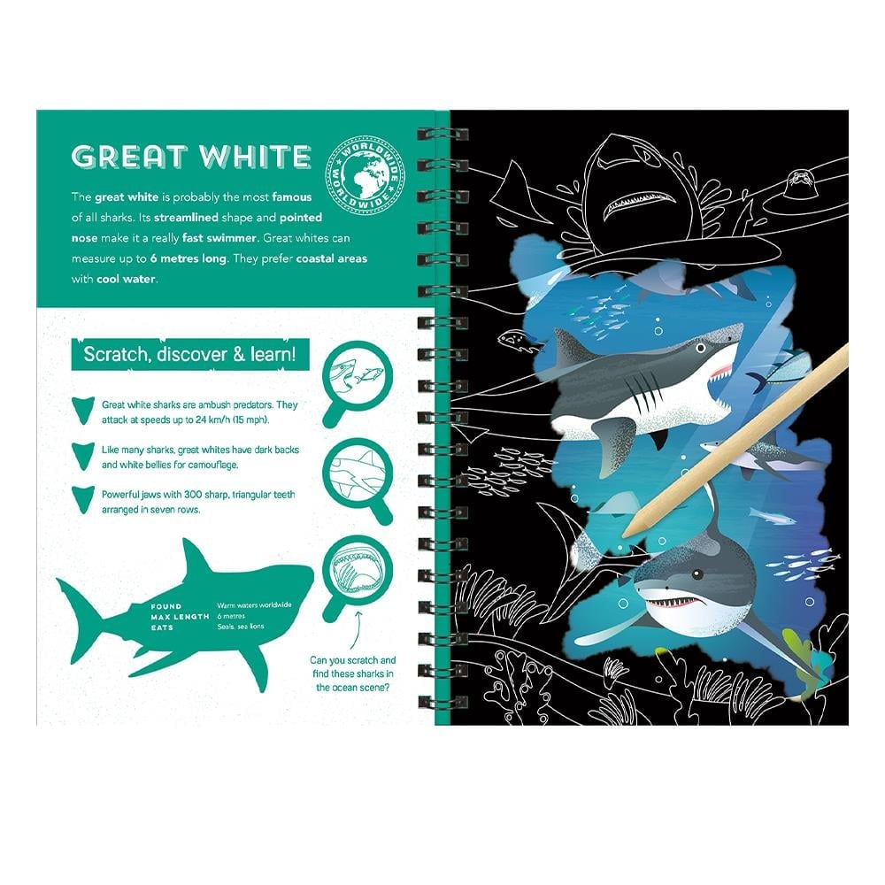 Sharks - Scratch Discover And Learn Çocuk Kitapları Uzmanı - Children's Books Expert