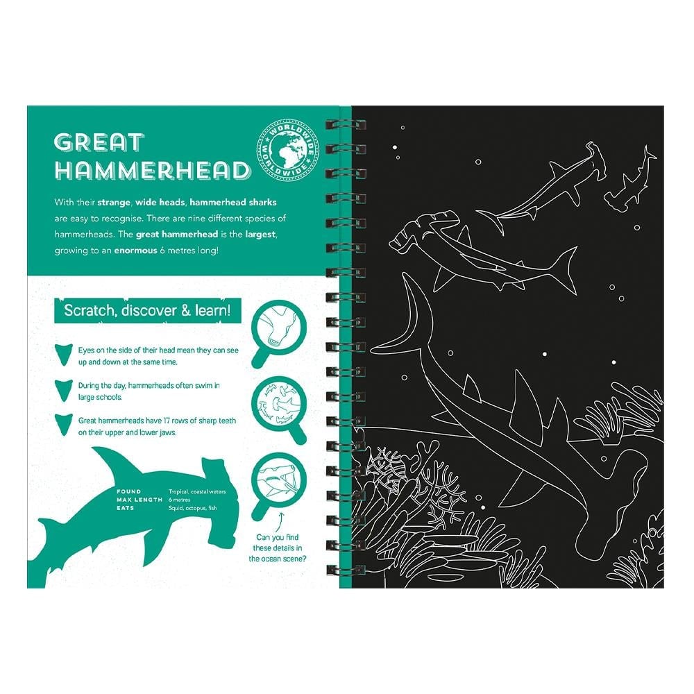 Sharks - Scratch Discover And Learn Çocuk Kitapları Uzmanı - Children's Books Expert