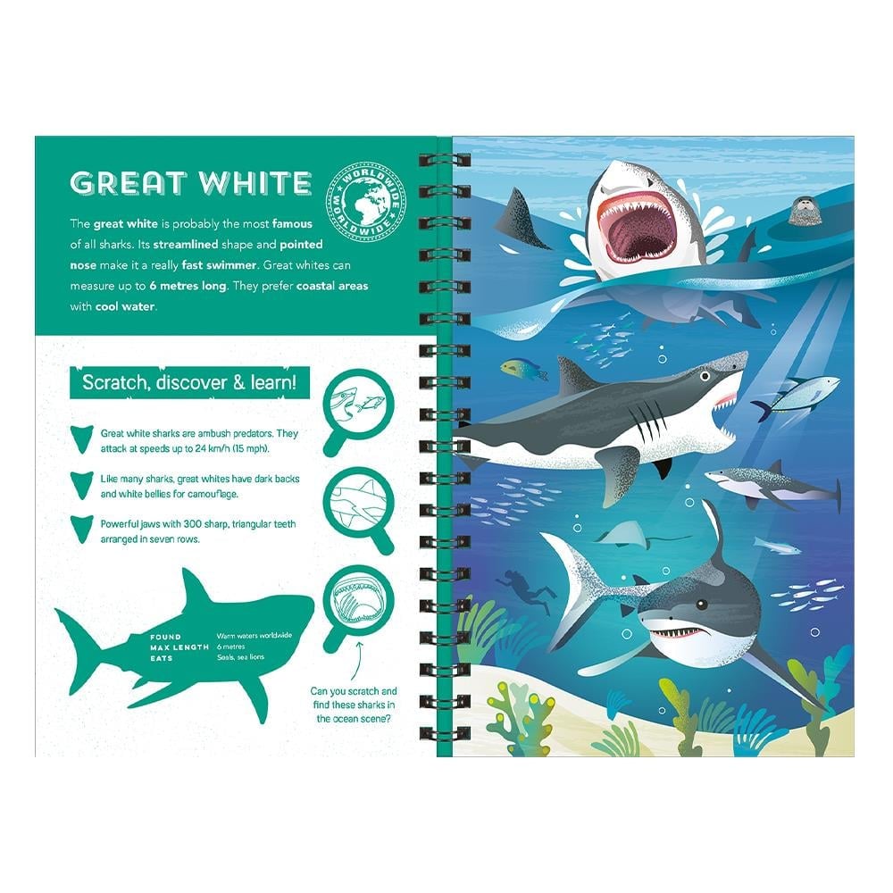 Sharks - Scratch Discover And Learn Çocuk Kitapları Uzmanı - Children's Books Expert