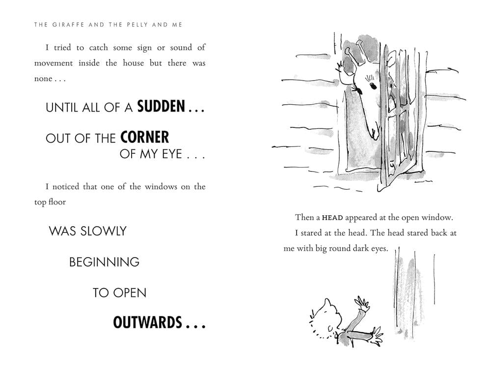 The Giraffe and the Pelly and Me - Paperback Çocuk Kitapları Uzmanı - Children's Books Expert