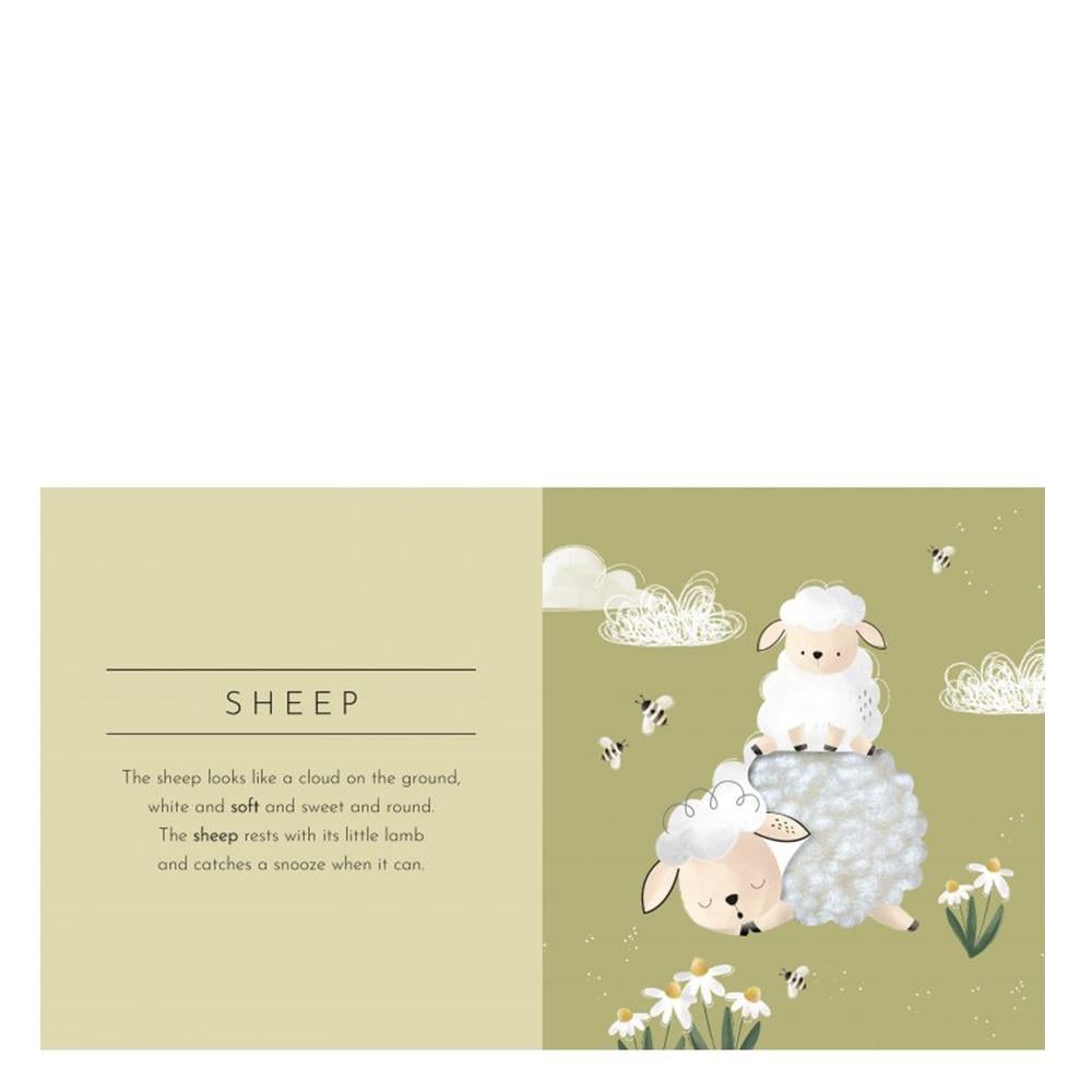 TOUCH AND FEEL - ANIMALS Çocuk Kitapları Uzmanı - Children's Books Expert
