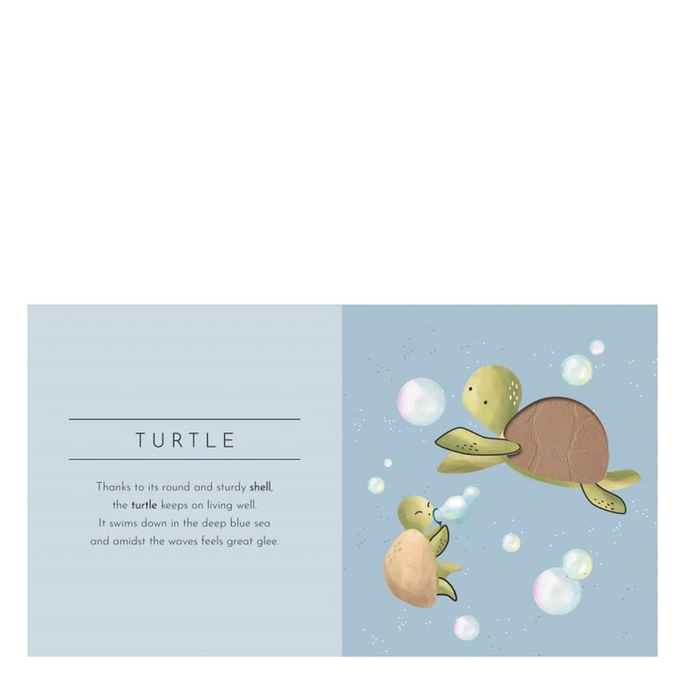 TOUCH AND FEEL - ANIMALS Çocuk Kitapları Uzmanı - Children's Books Expert
