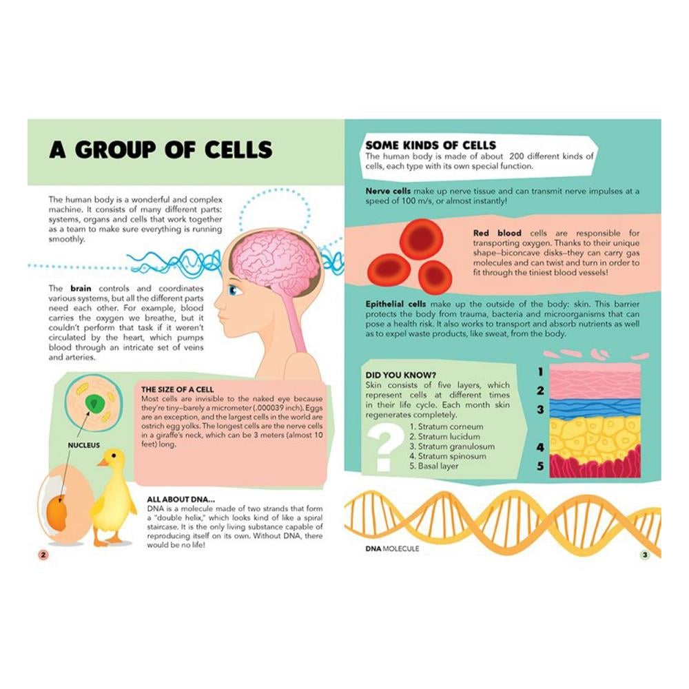 TRAVEL, LEARN AND EXPLORE - THE HUMAN BODY Çocuk Kitapları Uzmanı - Children's Books Expert