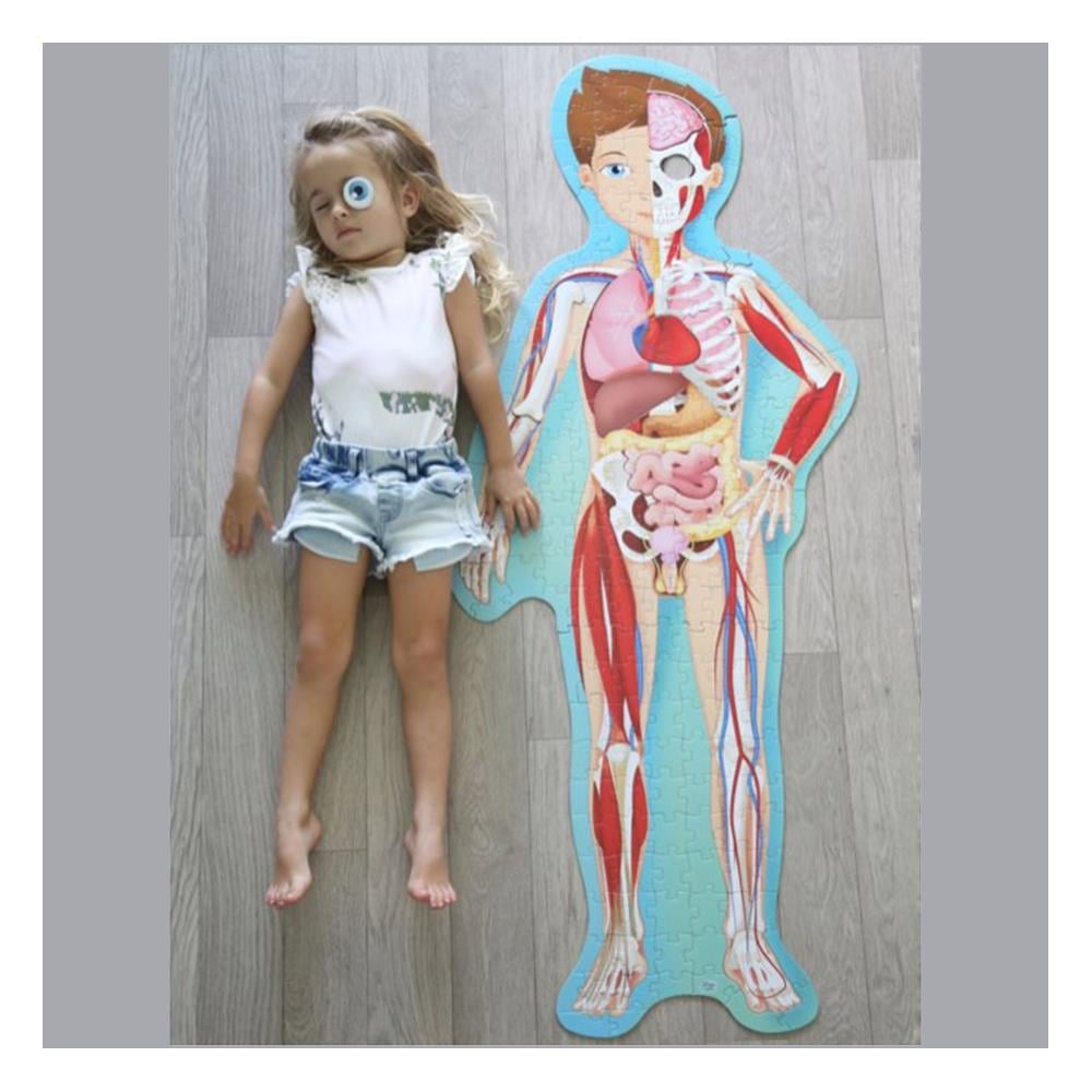 TRAVEL, LEARN AND EXPLORE - THE HUMAN BODY Çocuk Kitapları Uzmanı - Children's Books Expert