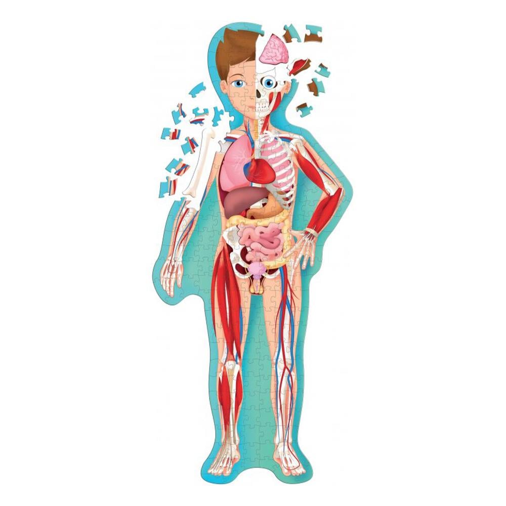TRAVEL, LEARN AND EXPLORE - THE HUMAN BODY Çocuk Kitapları Uzmanı - Children's Books Expert