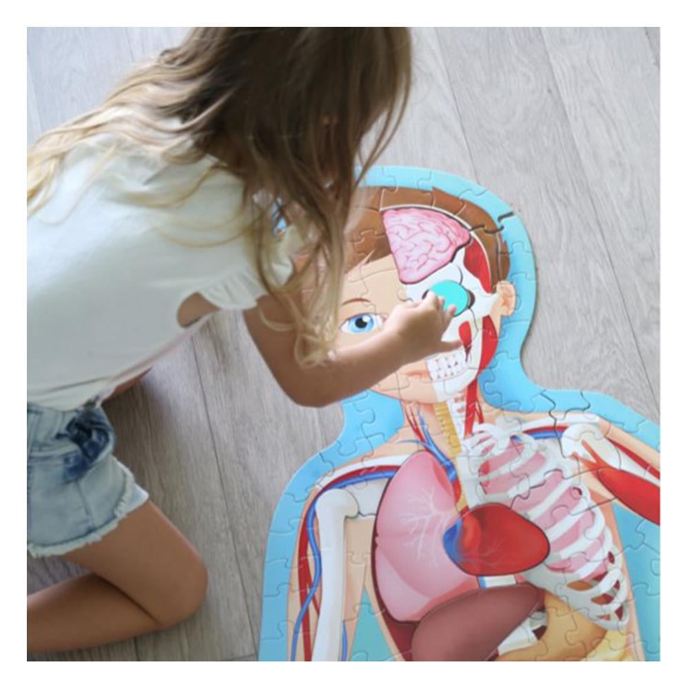 TRAVEL, LEARN AND EXPLORE - THE HUMAN BODY Çocuk Kitapları Uzmanı - Children's Books Expert