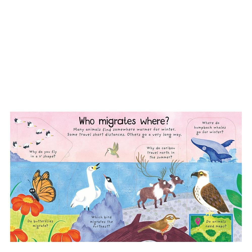 Where Do Animals Go in Winter Çocuk Kitapları Uzmanı - Children's Books Expert